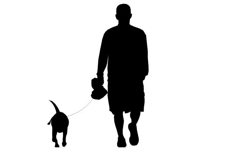 dog.jpg