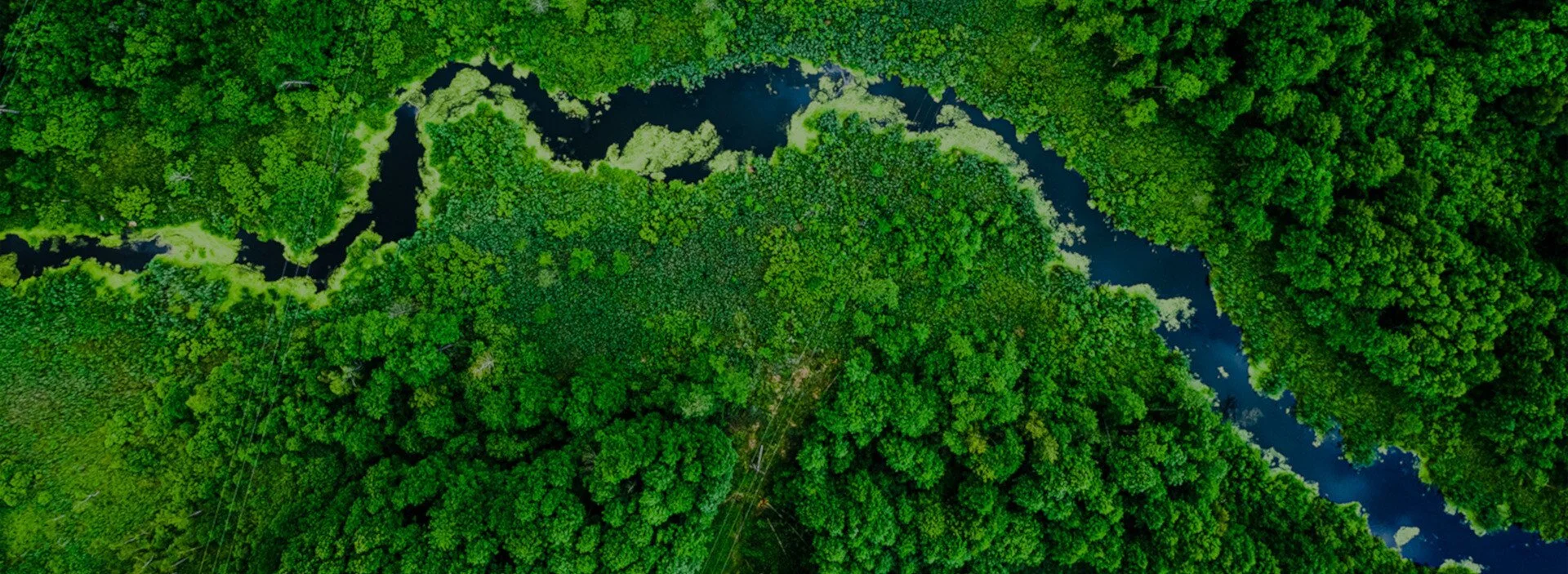 Crise climatique : « Le zéro émission nette » ne serait-il pas un piège dangereux ?