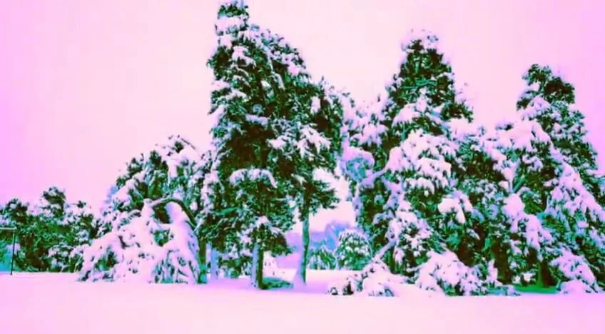 Le chill-out à six cordes du "Promise" de SUSS