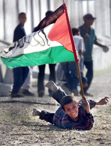 Réflexions sur la troisième intifada palestinienne. Par Salwa Ibrahim