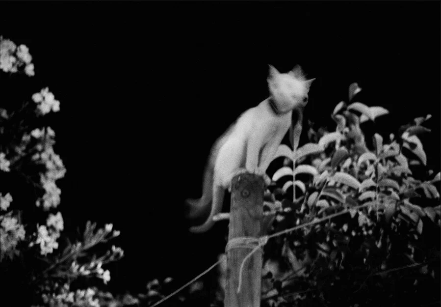 Soudain, Gabrielle Duplantier : réédition et retour de "Volta" 