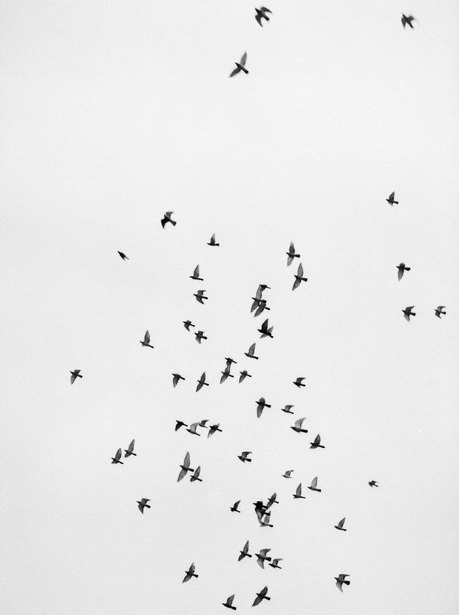 Migration/ Al J Thompson,