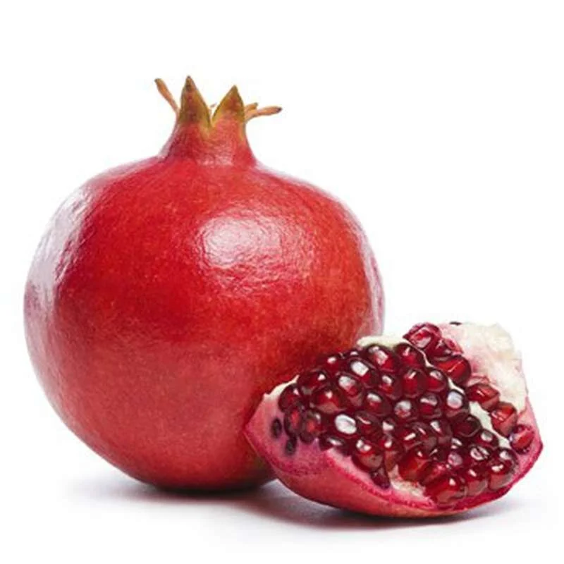 Avec le dernier grenadier du monde, Bakhtiar Ali