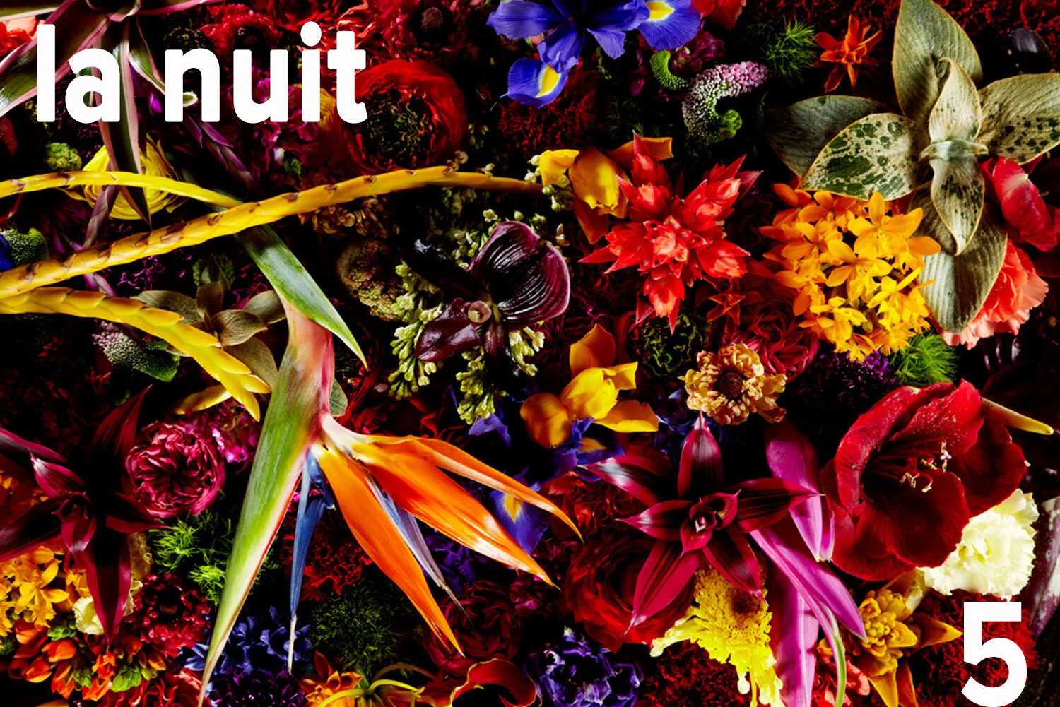 La Nuit n°5