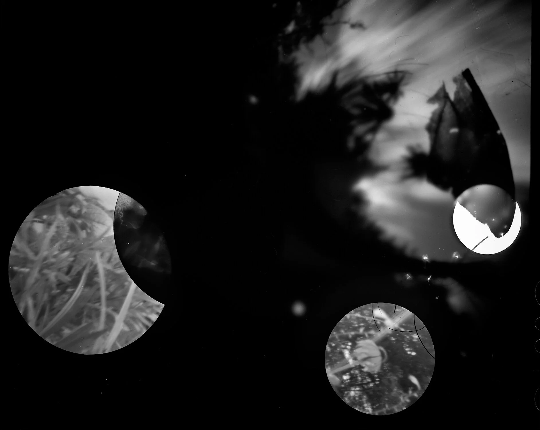 Altered Negative 2 (hali). Large format film. © Julie Hamel