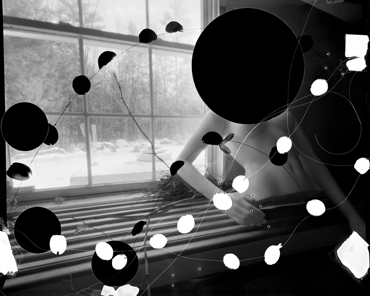 Altered Negative 1 (ladies). Large format film with asian lady beetles, hair, glue, and tape. © Julie Hamel