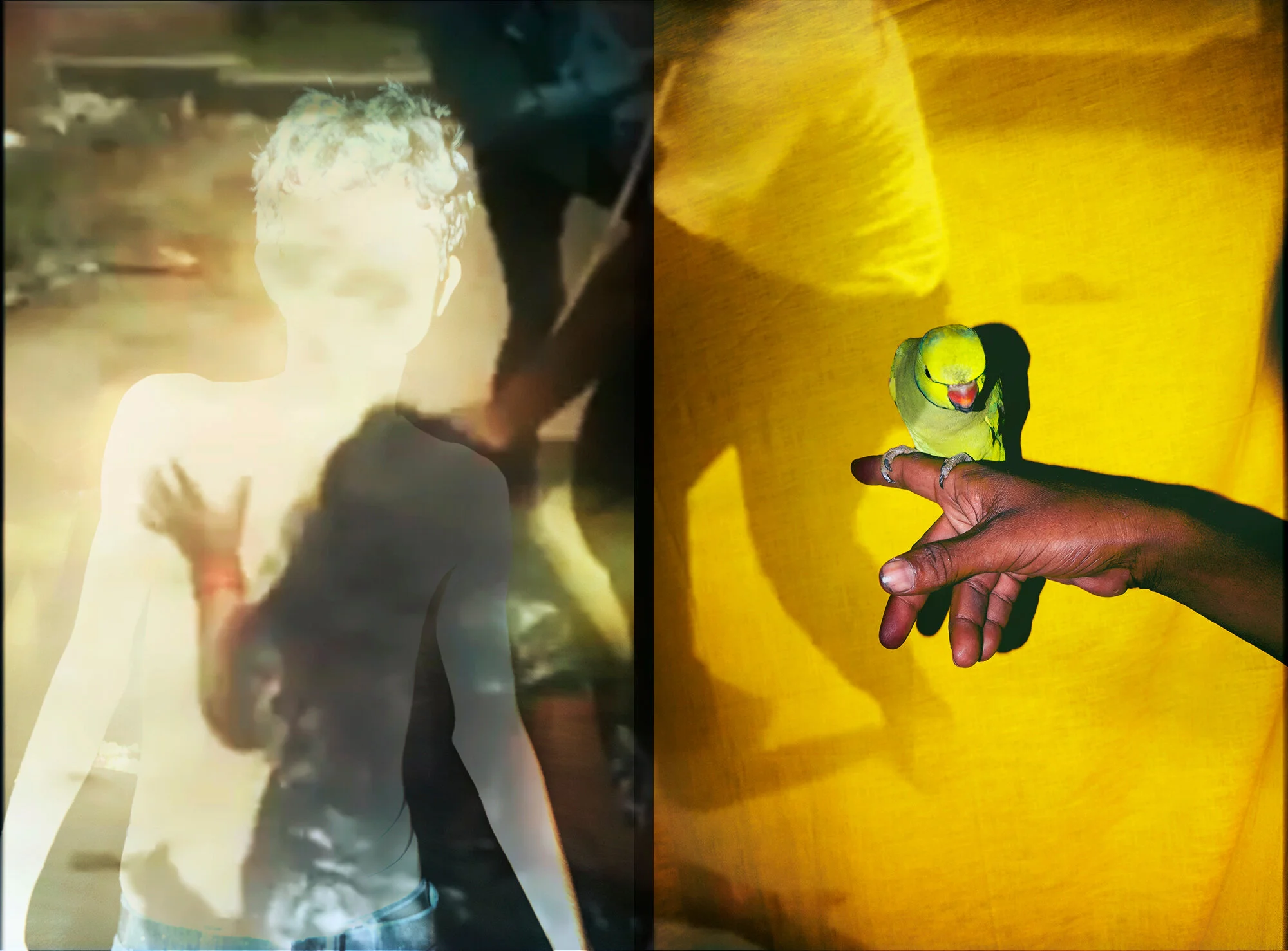 Video still from “The Lost Head &amp; The Bird,” 2016-2019 © Sohrab Hura