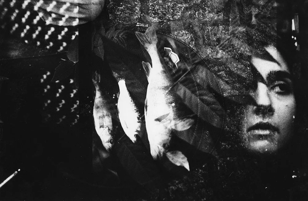 La mémoire des yeux de Sara Cucè