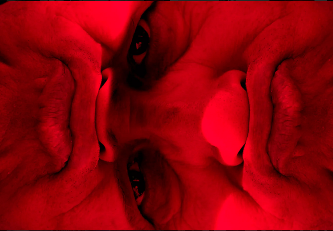 Les oranges sanguines de Liza Ambrossio 