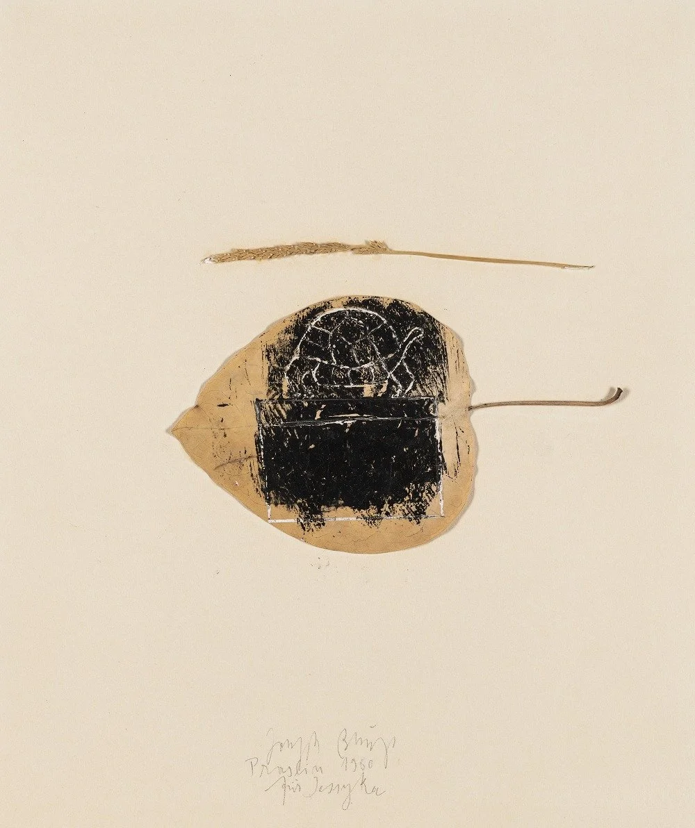Joseph Beuys : ligne à ligne, feuille à feuille au MAM