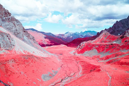 Avec Paolo Pettigiani, offrons-nous un monde en infra-rouge