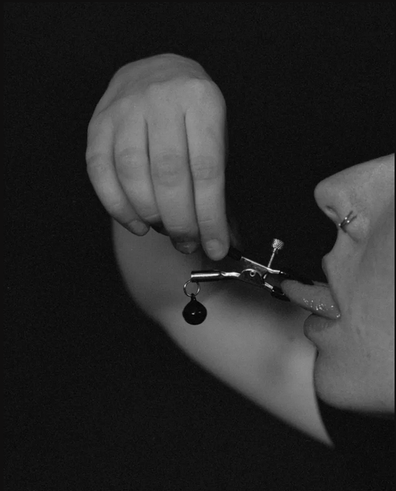 Against Domestication : l'archivisme-activiste queer de Shia Conlon