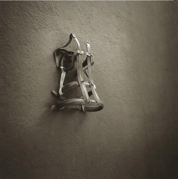 Au moins 37 héliotropes à la Fondation Cartier pour Graciela Iturbide 