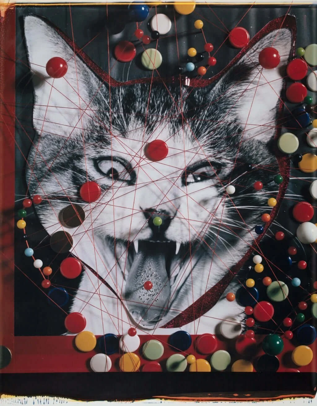 masahisa fukase 6.jpg