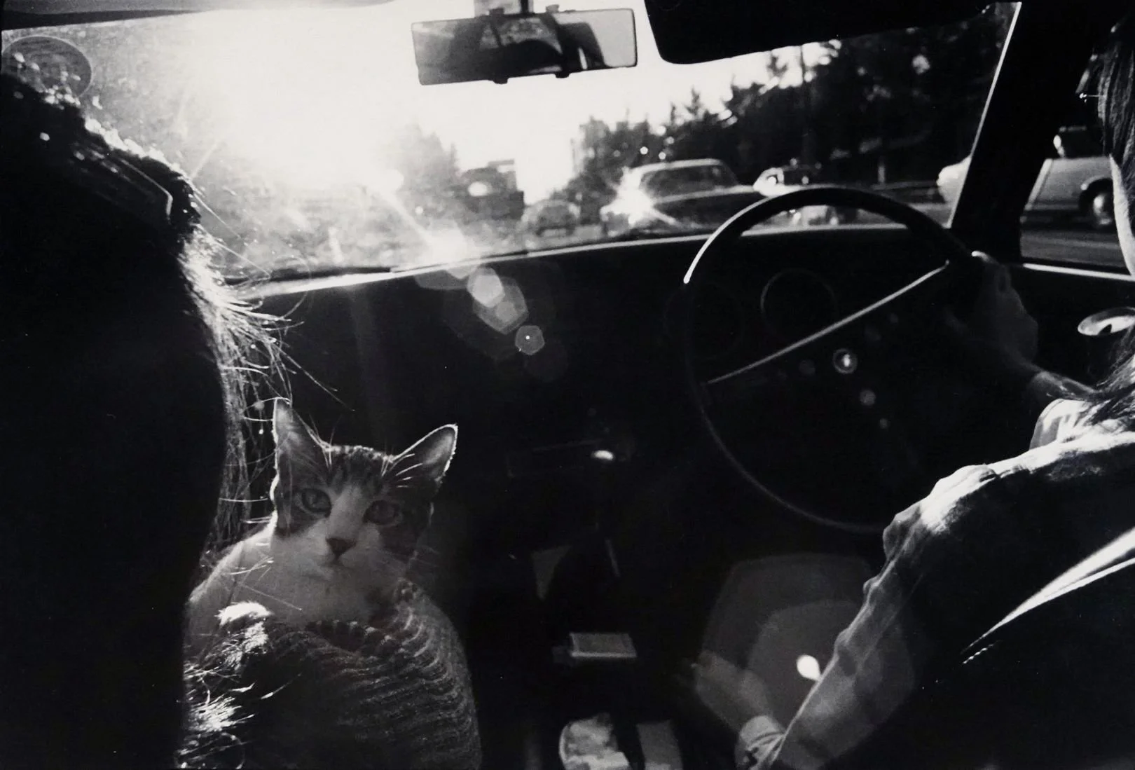 masahisa fukase 10.jpg