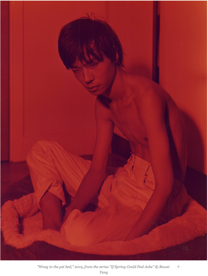 La résilience queer de Bowei Yang, entre sentiments et chagrins