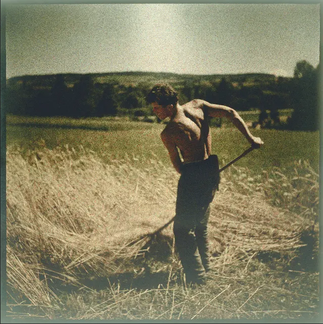 Gustave Roud, l'indispensable 