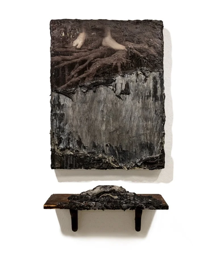 S'immerger dans le bayou Teche avec Seth Adam Cook 