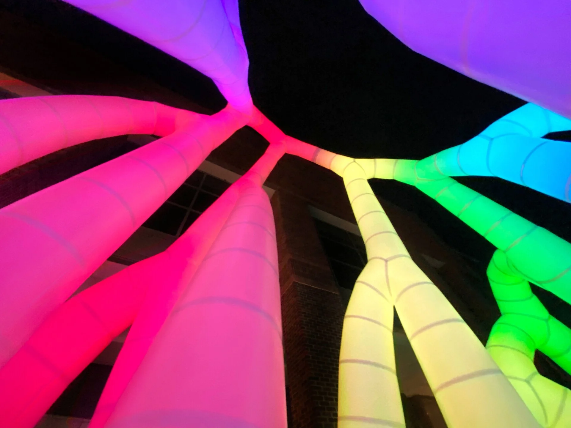 Grove, l'installation de Pneuhaus qui célébre l'interconnexion en rhizome