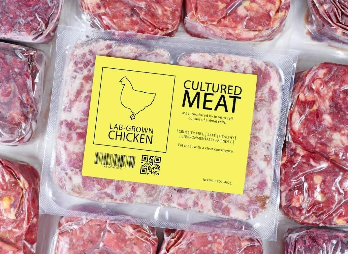 De la viande post-animale et d'autres formes d'innovation alimentaire, par Alice Dal Gobbo