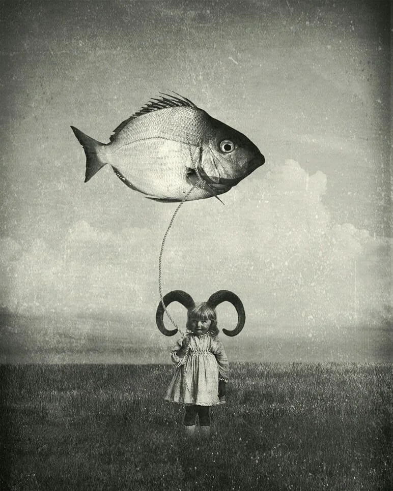 Inspirations #30