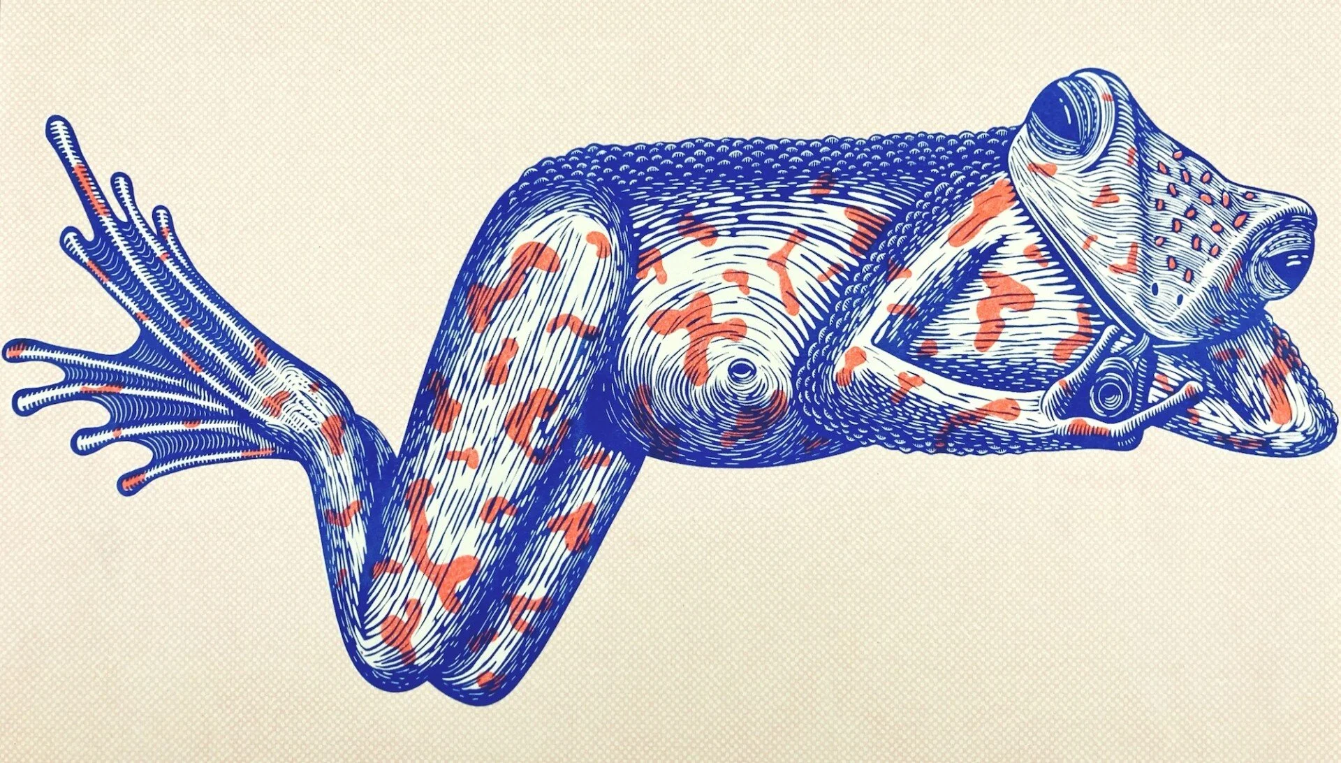 Quand mangeurs exigeants et bestioles en tricot garnissent les gravures de Strangford