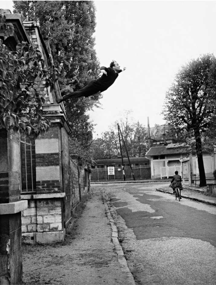 Claro : "L’éléphant se laisse caresser; le pou, non"