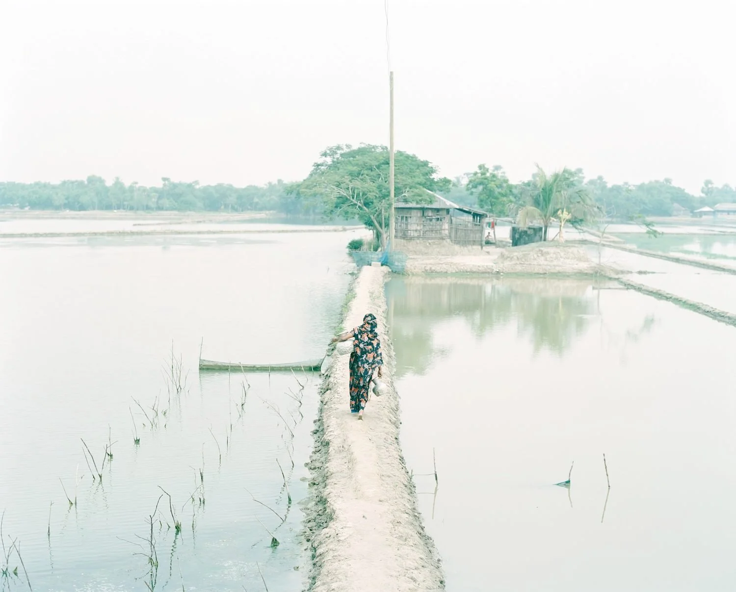 Vivre immergé  dans la transition climatique 