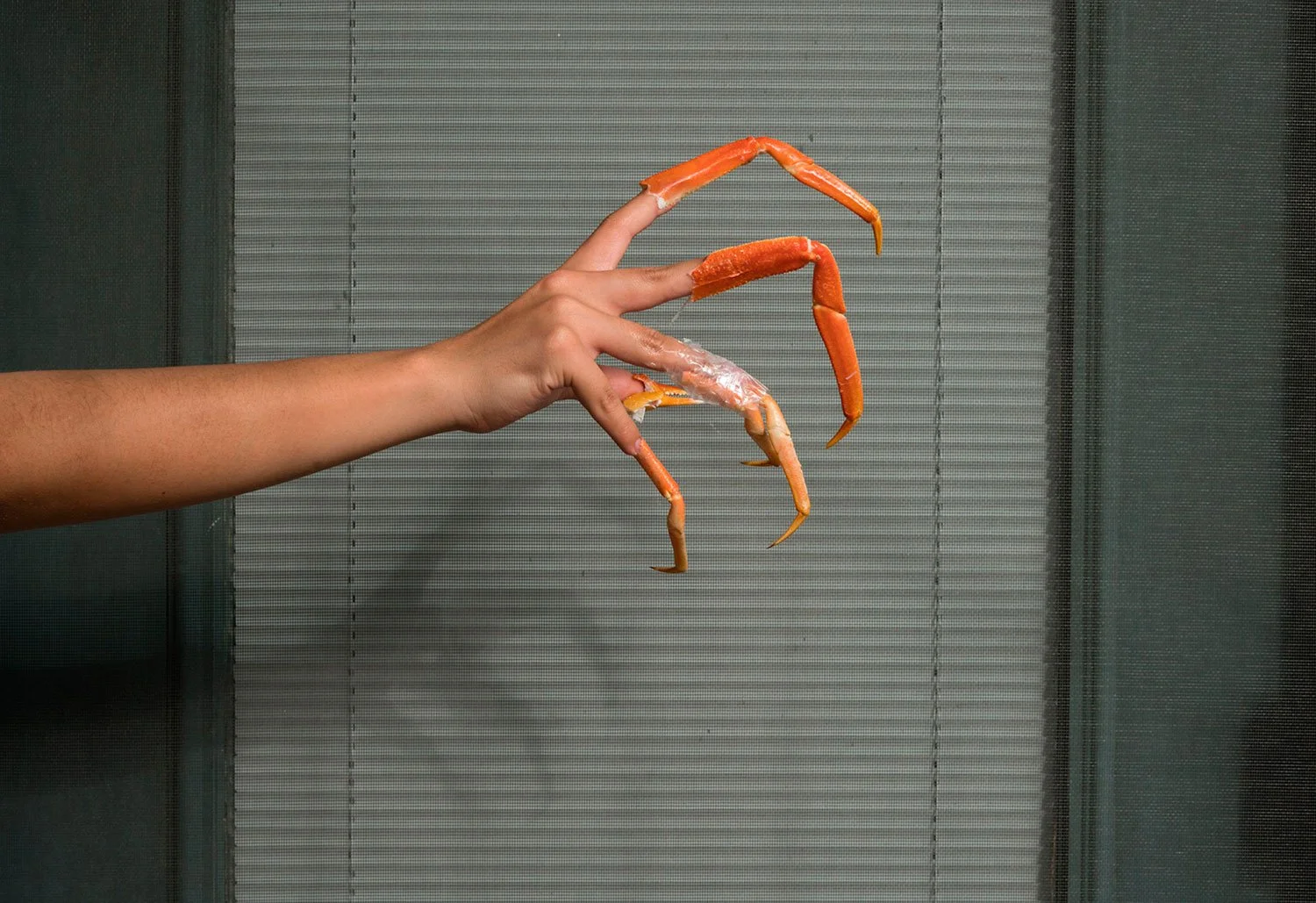 Blood Orange : les orages sanguins de Liza Ambrossio écrasent le bleu de la Terre 