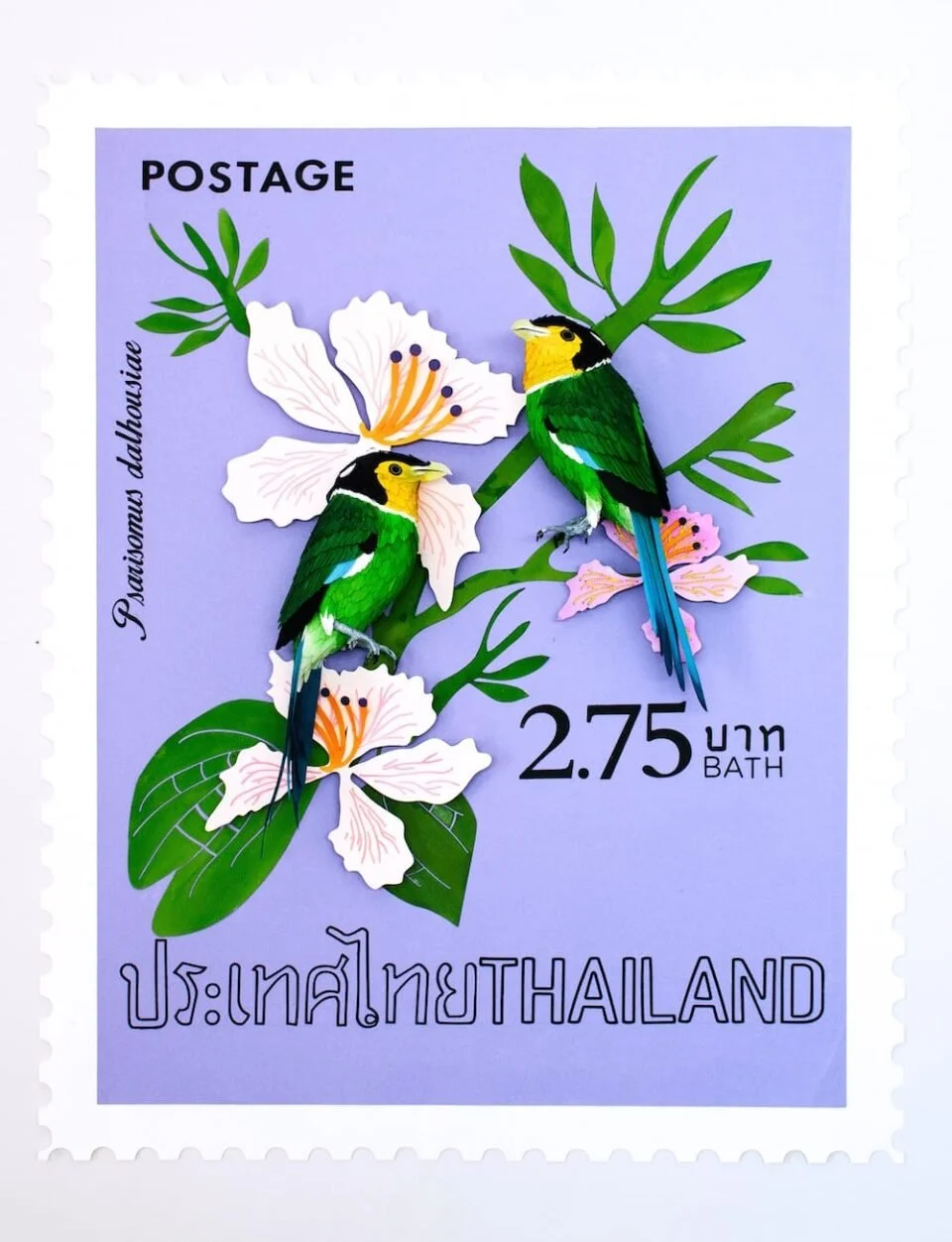 Juxtaposer des oiseaux à des timbres, la passion de Diana Beltran Herrera