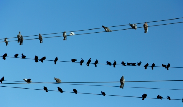 Les Oiseaux du temps défont les préjugés, mais pas que