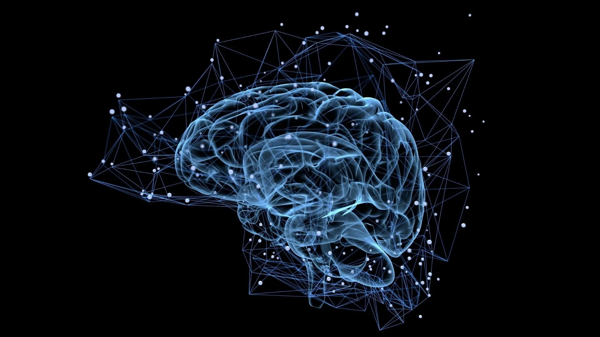 Le grand bluff des neurosciences, par Riccardo Manzotti