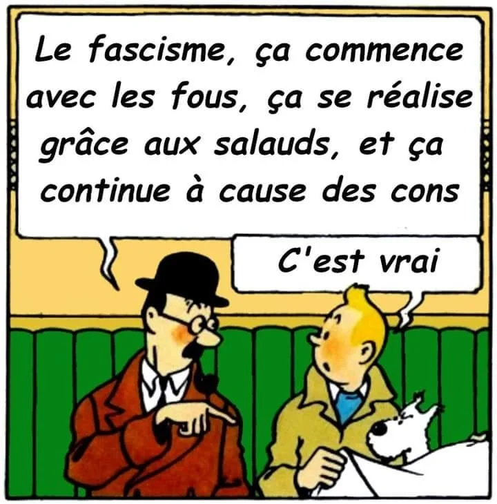 Nouveaux souvenirs du futur : les US de Trump/Bardella - comme ici, là-bas !