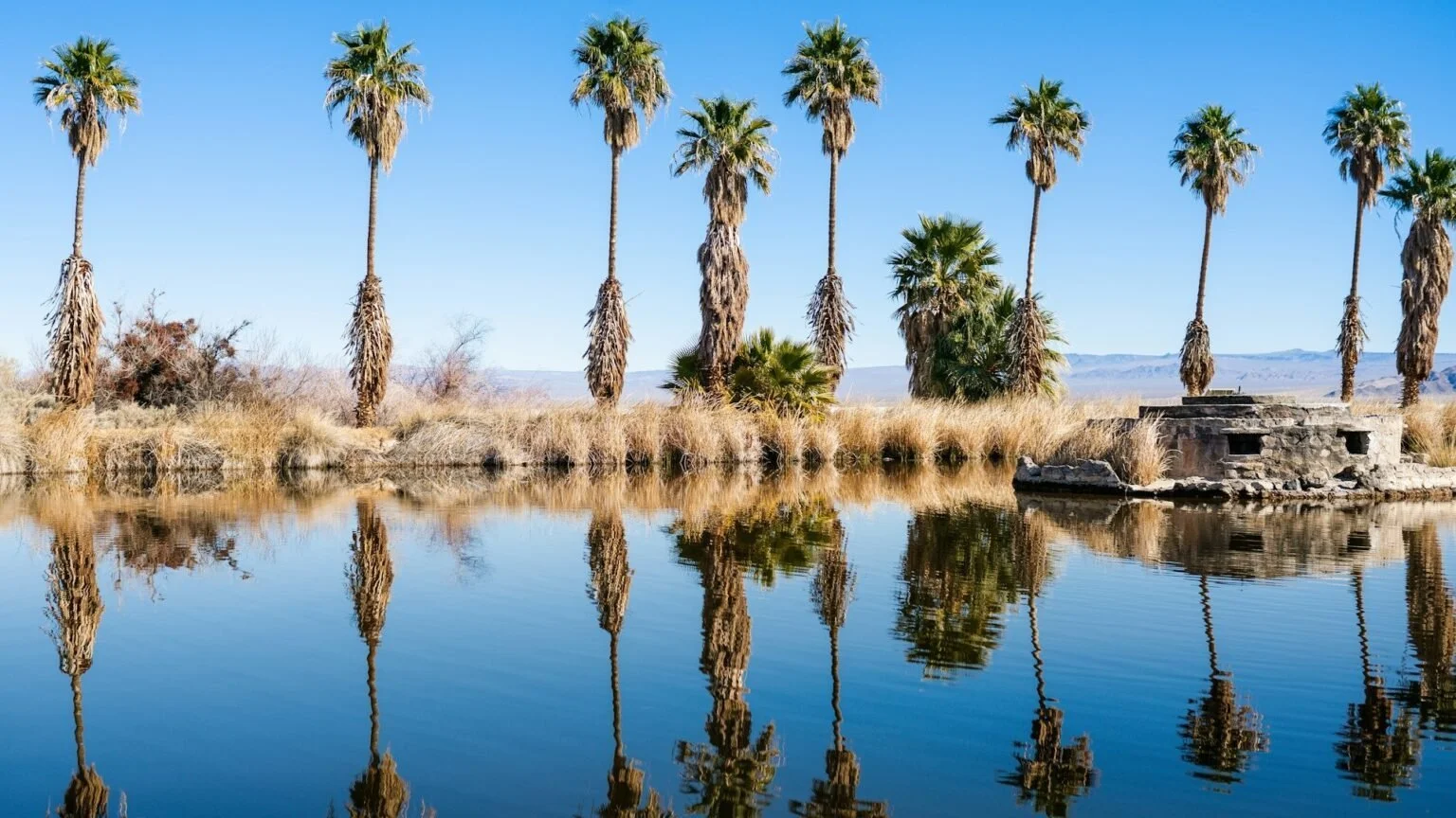 Mais qu'est-ce donc que la Zzyzx Road ? Histoire heurtée d'un spa au désert californien