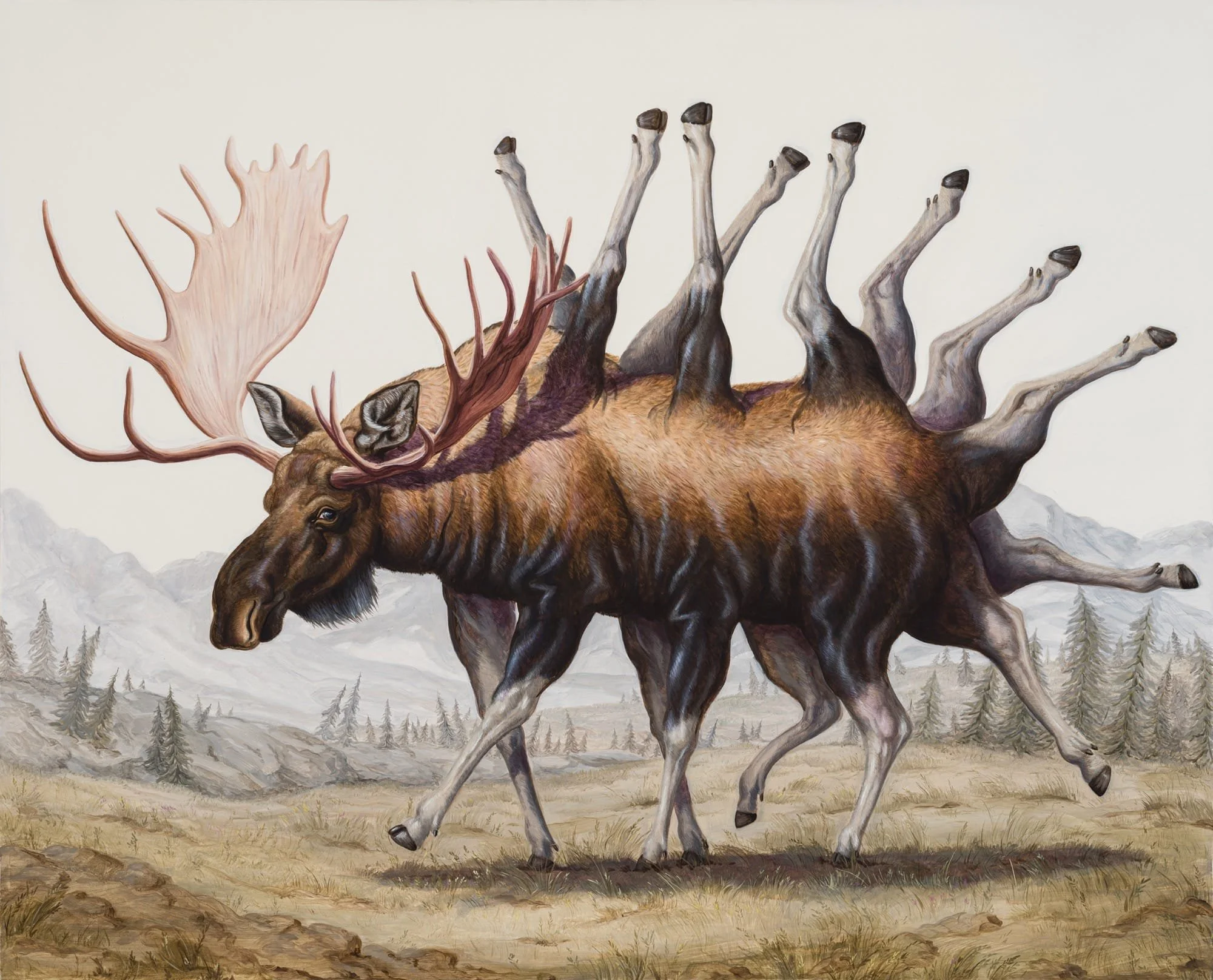Les bouffonneries zoologiques de Bruno Pontiroli épatent