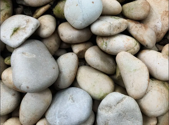 Perse et sauvagement polie, la poésie d'Atieh Attarzadeh