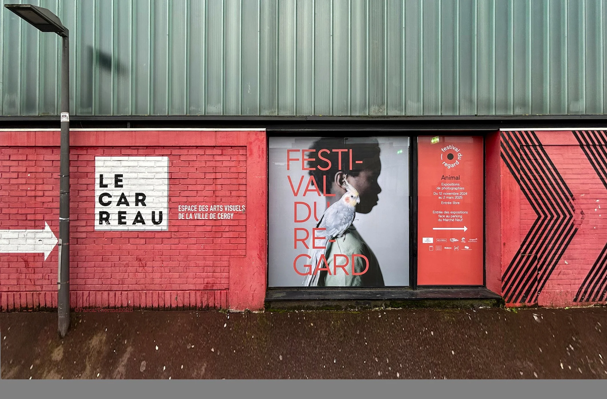 Coup de projecteur sur la huitième édition du Festival du Regard 