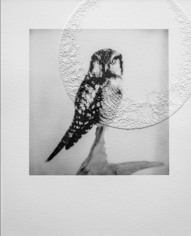 Capture d’écran 2025-01-31 à 15.11.43.png