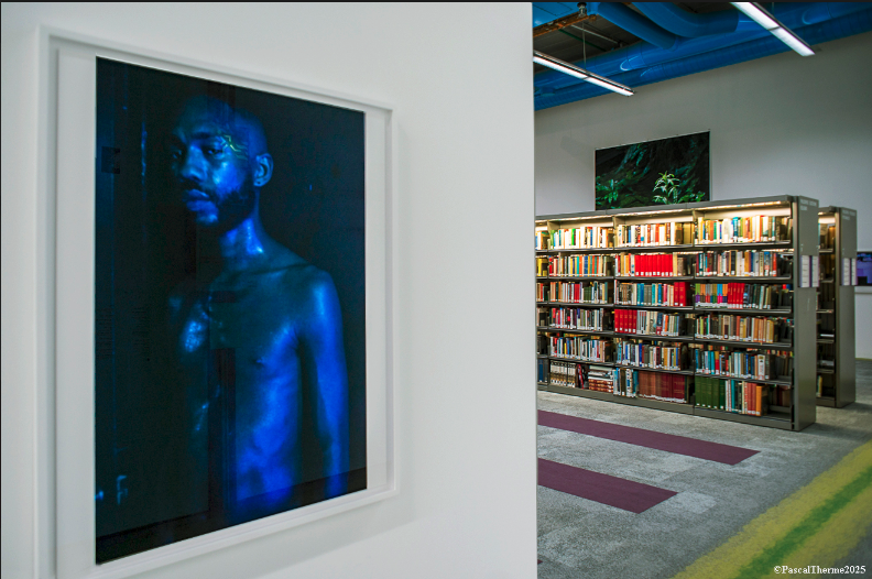 Capture d’écran 2025-06-30 à 12.28.37.png