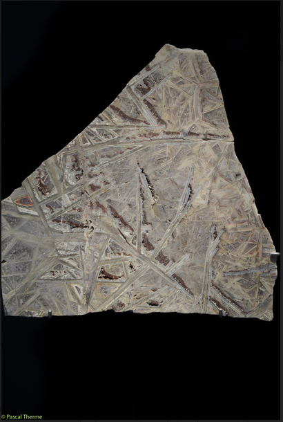 Capture d’écran 2025-11-10 à 18.54.50.png