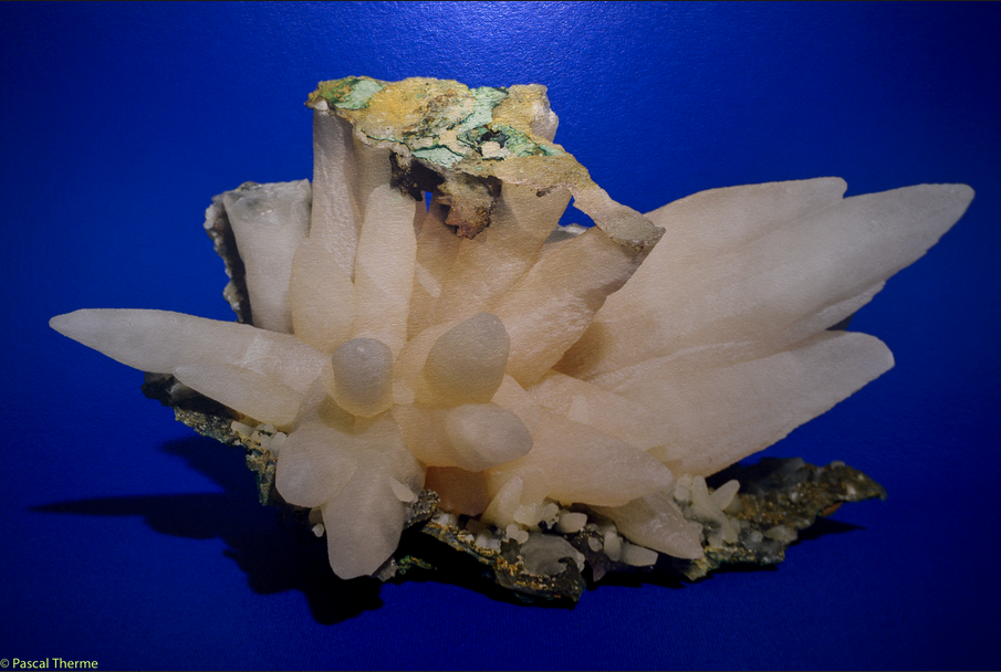 Capture d’écran 2025-11-10 à 19.01.21.png