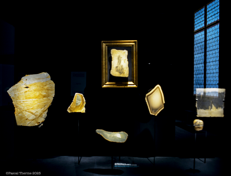 Les contrastes de Photo Days 2025