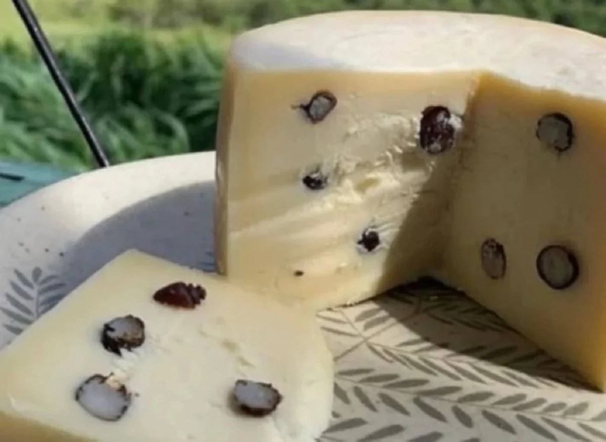 Taiaida Silvania : des fourmis dans le fromage brésilien