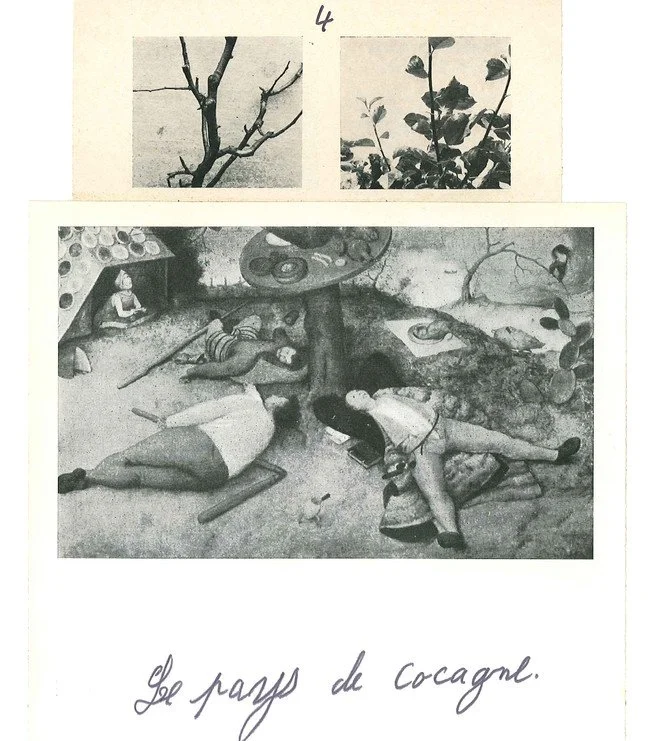 Sambucus nigra, la géo-poétique  de Pierre Creton