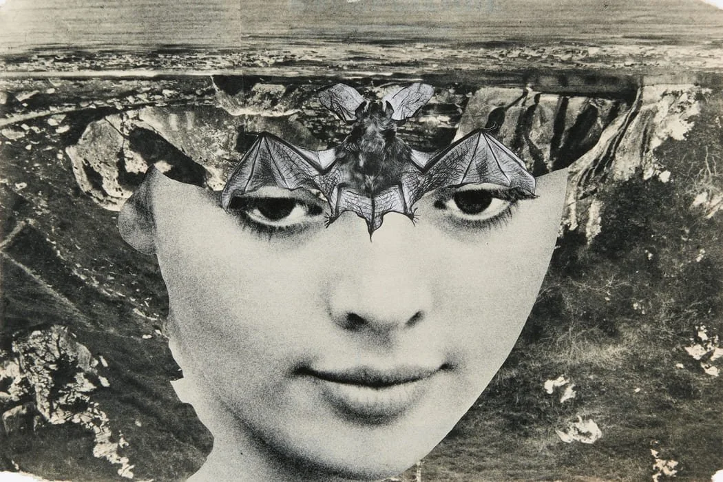 Les collages chocs de Sarah Schumann