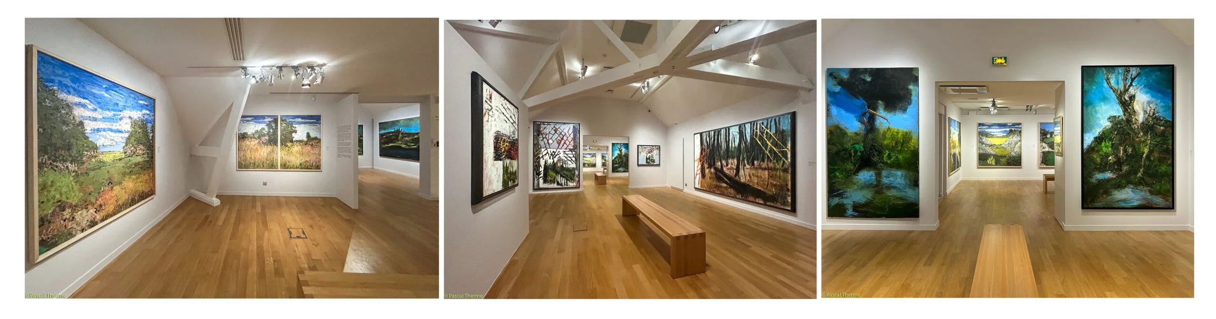 La Nature n'est pas un décor  à la Maison de Gustave Caillebotte