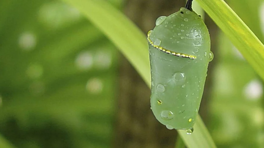 Prepare for Worship: Notes for services on September 14, 2014