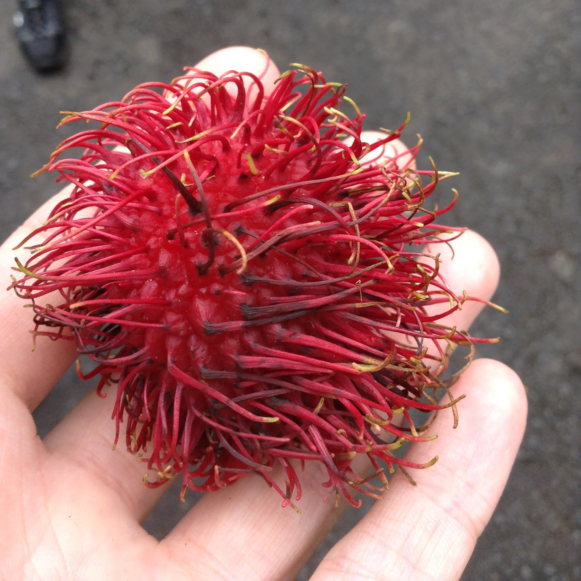 Lychee snack from a street vendor