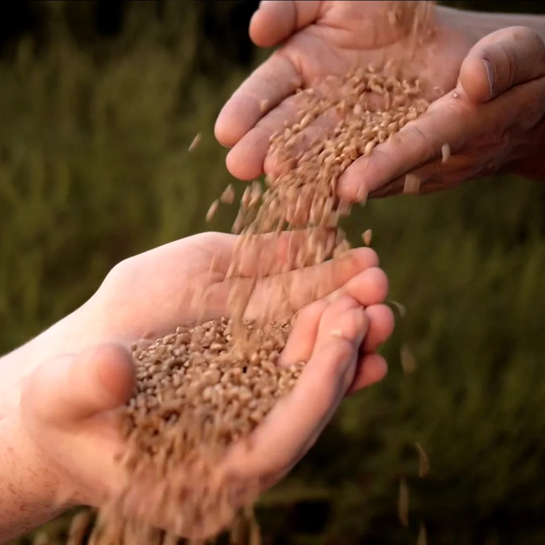 Embracing a Generous Life in the Midst of Uncertainty