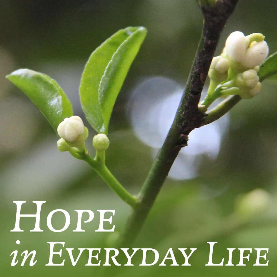 Hope in Everyday Life